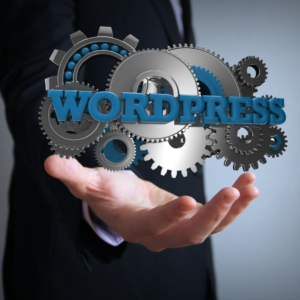 wordpress-set-up